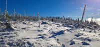 003-nov-17---Grenzsteig-am-Zwercheck-ft