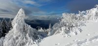 021-dez-17---Durchblick-zum-Kaitersberg-ft