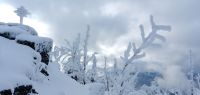 023-dez-17---Zwercheck---Sonne-ringt-mit-Wolken-ft