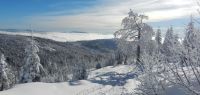 025-dez-17-Traumschnee-fuer-diese-Zeit-Winterweg-zum-Lusen-ft
