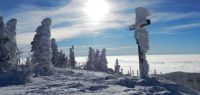 030-dez-17-Lusenmandl-geformt-vom-Schnee-und-Sturm-ft