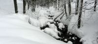 036-dez-17-Rindelbach---auf-dem-Weg-zum-Rindlschachten-ft