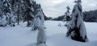 046-dez-17-Arbersee--und-neues-Seehaus-ft
