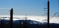 69-jan-18-den-Alpen-nah-ft