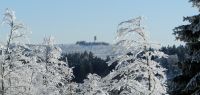 84-jan-18-auf-dem-Weg-zur-Grenze---Mittagsberg-Polednik-im-Blick-ft