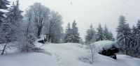 94-jan-18-zwei-Gipfel-im-Vorderen-Wald---nur-800-m-entfernt---Predigtstuhl-und---ft