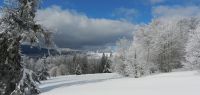 117-feb-18-uebern-Schachten-und-aussi-gschaut-ft