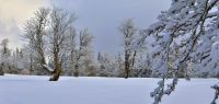 121-feb-18-am-Hochschachten-bm