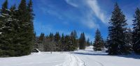 128-feb-18-Huette-am-Lindberger-Schachten-ft