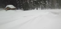 136-feb-18-bei-der-Unterstandshuette-am-Weg-zur-Grenze-haeuft-der-Boehmwind-den-Schnee-zu-hohen-Waechten-bm