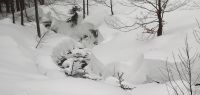 137-feb-18-am-Rindlbach-bm