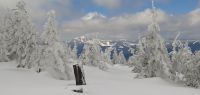 164-maerz-18-Fallbaum---Ausblick-zum-Arber