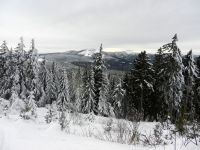 003_endlich_Schnee_-_Aufstieg_zum_Zwercheck_mit_Blick_zum_Arber_2018_12_19_ft