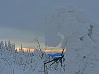 007_Zwercheckmo_2018_12_19_ft