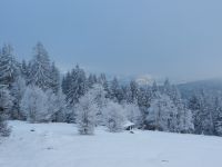 009_Huette_am_Jaehrlingschachten__2018_12_26_ft