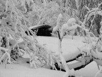 010_Jaehrling_im_neuen_Jahr_2019_01_07_bm
