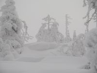 011_eiskalt_und_ohne_Sicht_am_Lusen_2019_01_11_bm