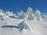 016_Werk_von_Sturm_und_Schnee_2019_01_19_ft