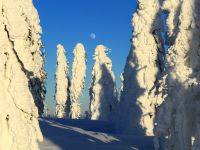 021_Warmes_Licht_der_spaeten_Sonne_taeuscht_2019_01_19_bm