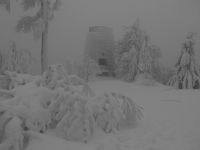 029_dichter_Nebel_am_Hirschenstein_2019_01_22_bm