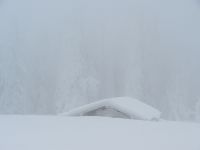 037_dichter_Nebel_laesst_die_Konturen_verschwimmen_2019_01_25_ft