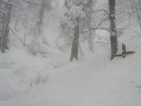 039_zwei_Meter_Schnee_im_Hoellbachgspreng_und_keine_Spur_-_rien_ne_va_plus_2019_01_27_ft