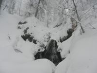 040_Wasserfall_des_Hoellbachgsprengs_2019_01_27_ft