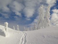 044_ein_wundervoller_zauberhafter_eiskalter_Wintertraum_2019_01_29_bm