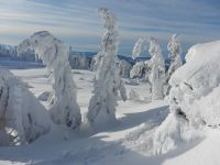 046_geformt_und_modelliert_vom_Schneesturm_2019_01_30_ft