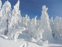 048_zwei_Farben_genuegen_dem_Gott_des_Frostes_2019_01_30_ft