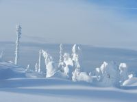 051_Kyrill_hat_alle_Grossen_weggeraeumt_2019_01_30_ft