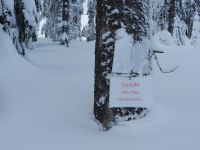 052_hab_mich_trotzdem_auf_den_Hochzellschachten_getraut_2019_01_30_ft