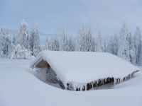 053_Winterwunderwelt_Hochzellschachten_-_pst_nicht_weiter_sagen_2019_01_30_ft