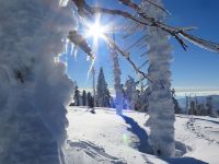 059_Sonne_befreit_langsam_vom_Eispanzer_bm