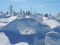 063_Schneeskulpturen_ueberall_2019_02_06_ft
