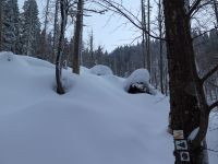 068_Weg_durch_die_Gruft_-_Umkehr_ist_angesagt_2019_02_12_bm