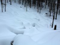 069_Auf_dem_Weg_zum_Hochschachten_besser_nicht_in_die_Graeben_des_Gruftlbaches_fallen_2019_02_12_bm