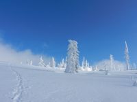 072_Wolkenfetzen_fliegen_-_vom_Sturm_getrieben_-_ueber_den_Rachelgipfel_2019_02_13_ft