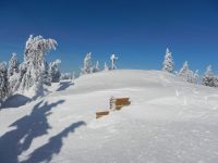 076_Wegweiser_-_fast_zugewachelt_2019_02_13_ft