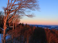 080_im_warmen_Licht_der_untergehenden_Sonne_2019_02_15_bm