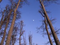 083_Vollmond_leuchtet_den_Abstiegsweg_aus_2019_02_15_bm