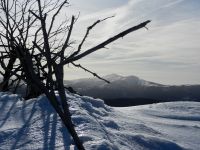 092_Noch_ein_Ueberbleibsel_des_Orkans_Kyrill_-_am_Nahhorizont_die_Racheln_2019_02_16_ft
