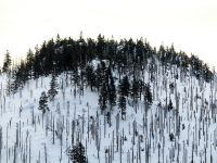 102_Groer_Rachel-Gipfel_2019_02_24_bm