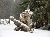 115_Eiskalter_Maerztag_am_Jaehrlingschachten_2019_03_12_bm