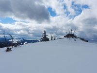 125_Von_den_Schneestuermen_fast_eingeebneter_Zwercheckgipfel_2019_03_13_ft