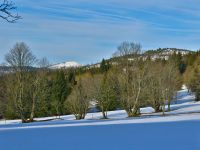 132_Bucina-Buchwald_mit_Siebenstein_und_Lusen_2019_03_17_bm