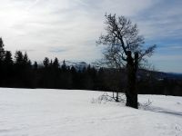 138_Rachelblick_vom_Lindberger_Schachten_2019_03_17_ft