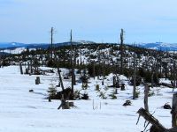 142_Antigl__Steindlberg_und_Mittagsberg_vom_Fallbaum_2019_03_22_bm