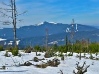 143_Seewand_und_das_Skigebiet_Spicak-Spitzberg_vom_Fallbaum_2019_03_22_bm