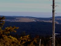 144_Ausblicke_vom_Fallbaum_auf_die_schon_schneelosen_Suedhaenge_von_Haidl_2019_03_22_bm